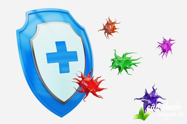 tang-cuong-suc-de-khang-cho-co-the