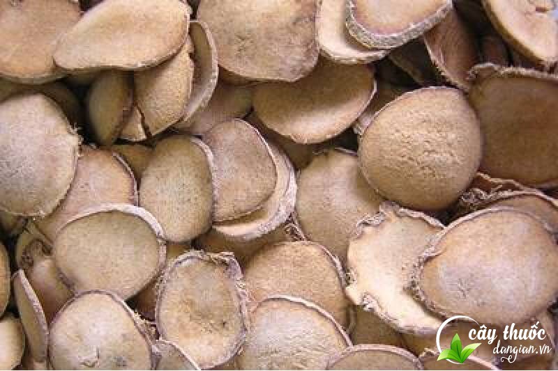 Tác dụng của trạch tả đối với sức khỏe