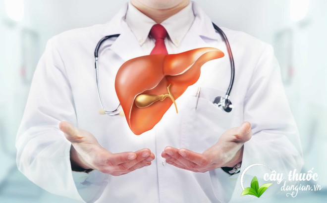 bao-ve-chuc-nang-gan