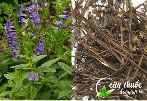 cach-lam-ban-chi-lien-kho