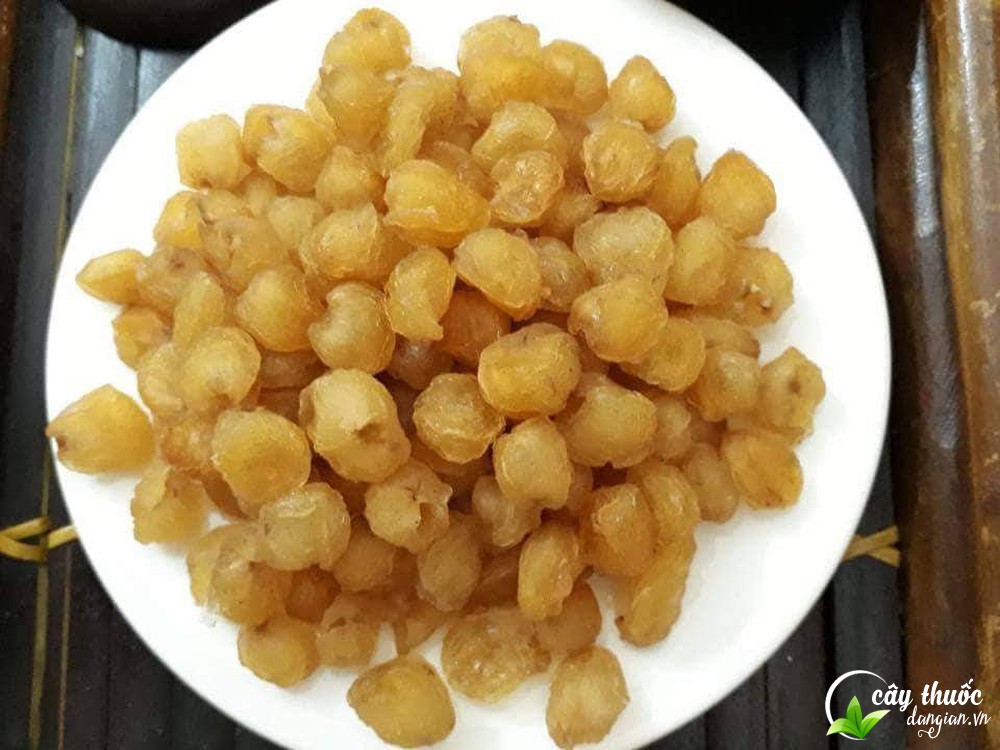 long-nhan-giup-bo-mau