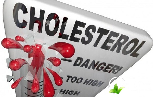 trà hoa nhài khô giúp cải thiện sức khỏe mỗi ngày