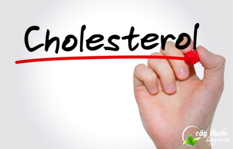 giam-ham-luong-cholesterol