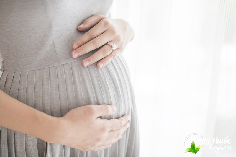 phu-nu-mang-thai-co-nen-su-dung-qua-sim-tim-hay-khong