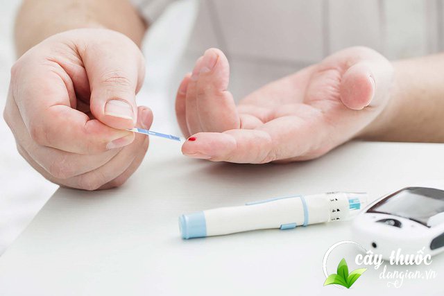 ho-tro-dieu-benh-tieu-duong