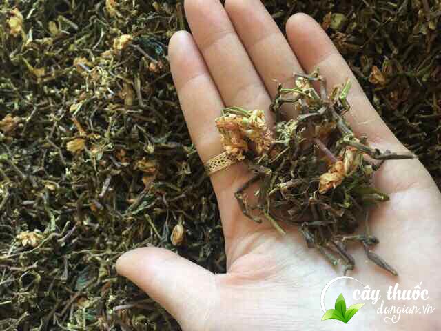 tra-son-mat-hong-sam-co-tac-dung-lam-dep-nhu-the-nao