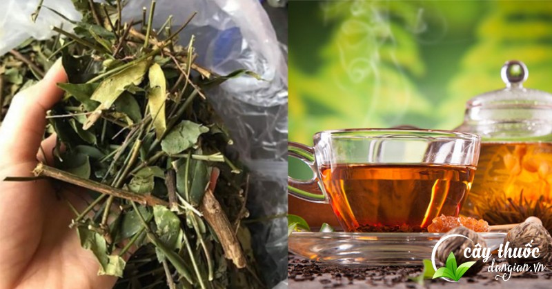 sủ-dung-che-vang-kem-chat-luong-se-the-nao