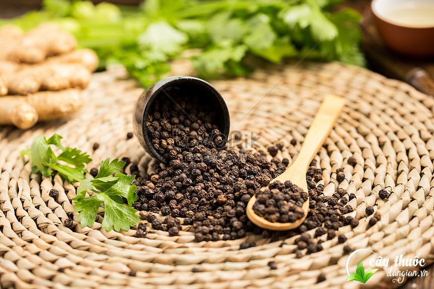 cach-bao-quan-hat-tieu