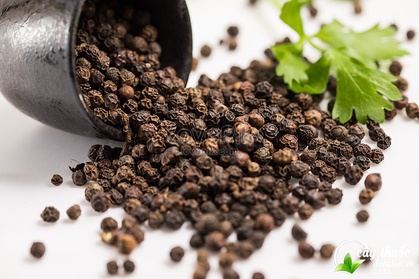 su-dung-hat-tieu-lam-sach-gau