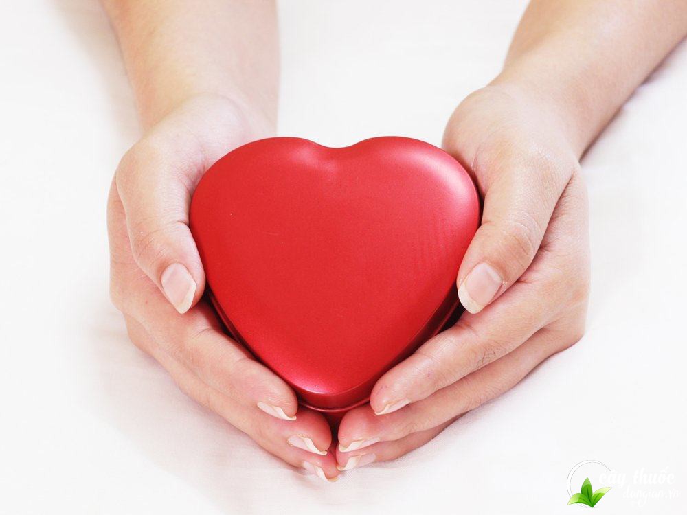 cam-lat-say-kho-rat-tot-cho-suc-khoe