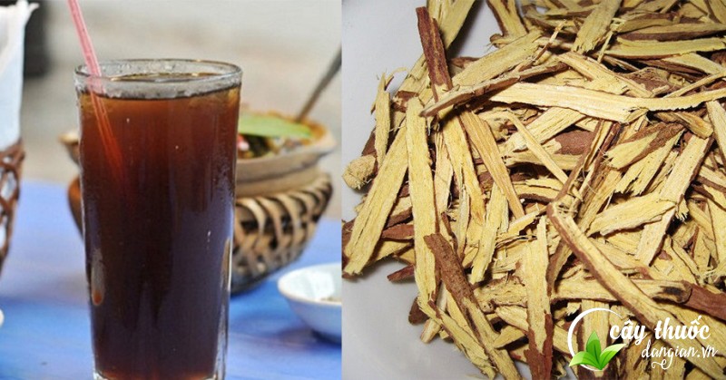 nen-su-dung-cam-thao-va-nhan-tran-hay-khong