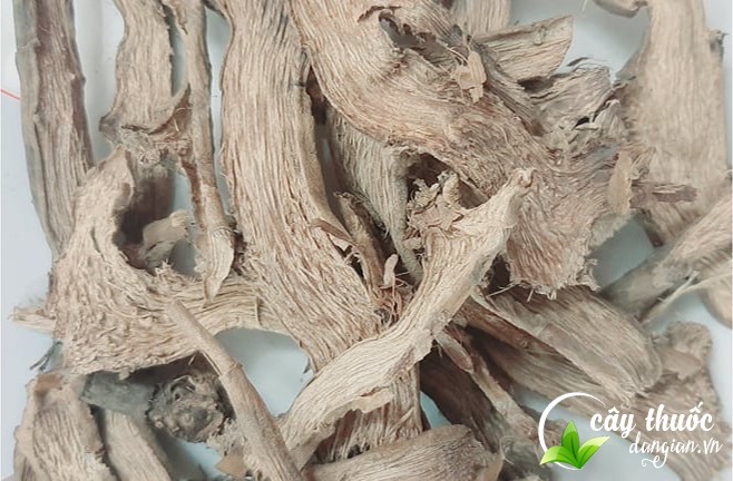 Mua mía dò ở đâu?