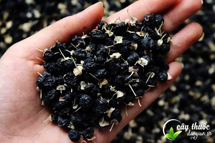 nha-biet-hac-ky-tu-kho