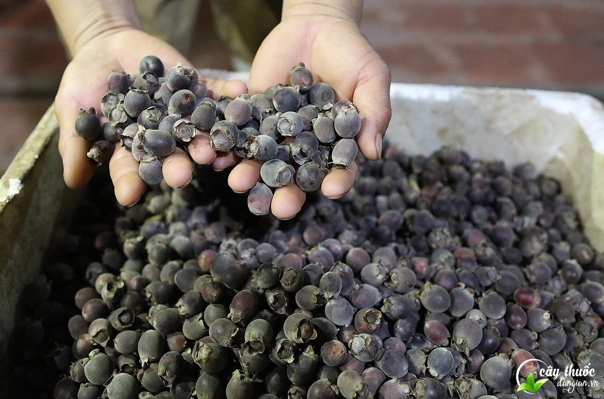 cach-chon-sim-chat-luong