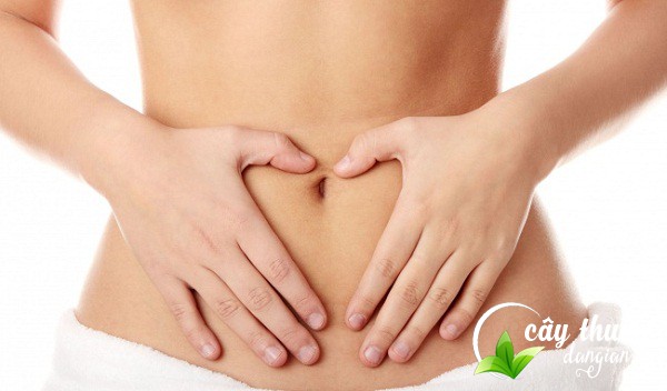 ho-tro-tang-cuong-he-tieu-hoa