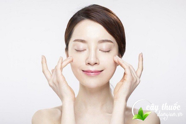 Trà hoa đào cải thiện chất lượng cuộc sống