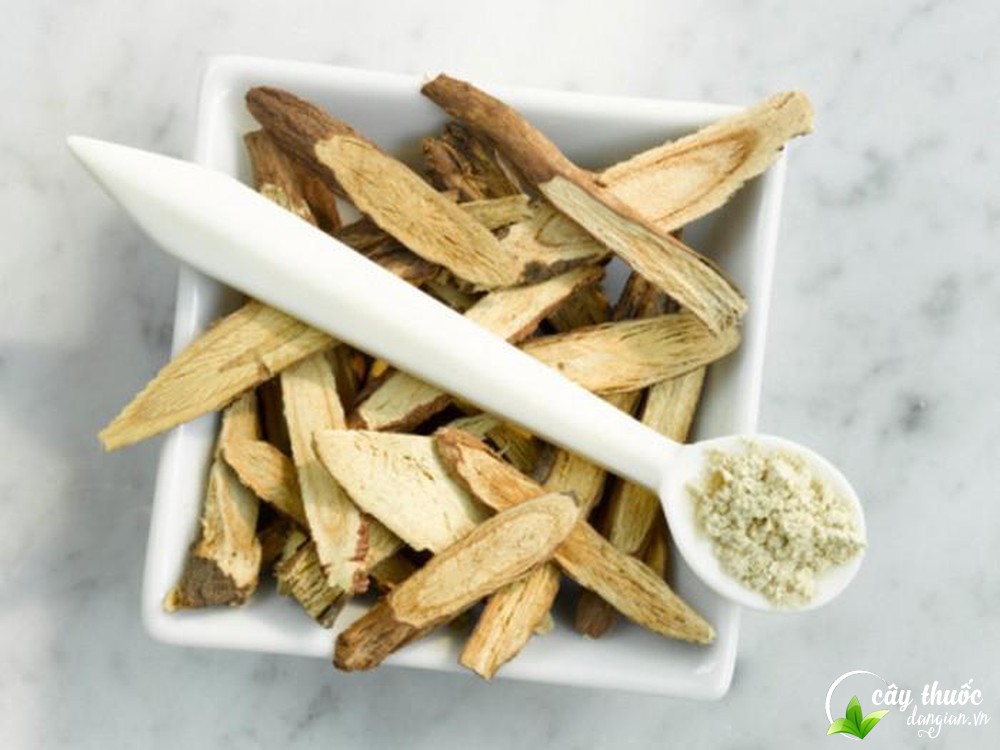 cam-thao-co-tac-dung-giup-khang-khuan