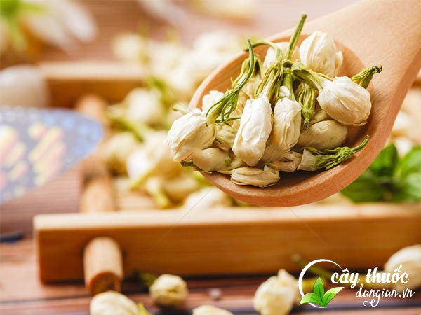 8 tác dụng của trà hoa nhài khô mà bạn chưa biết