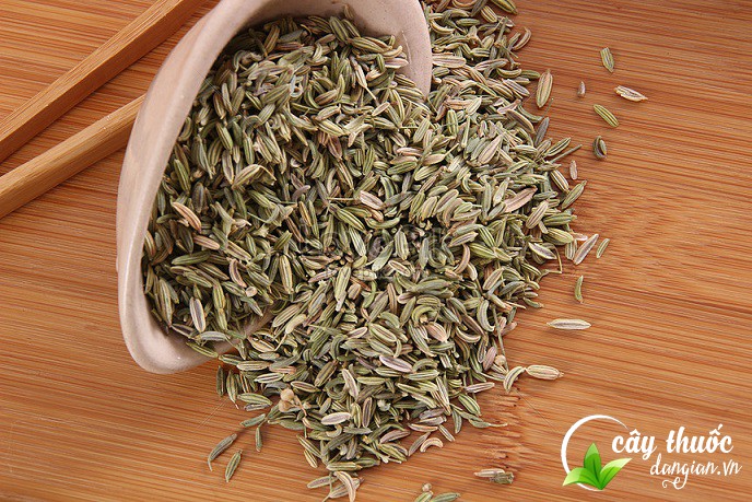 Nên mua tiểu hồi hương ở đâu?