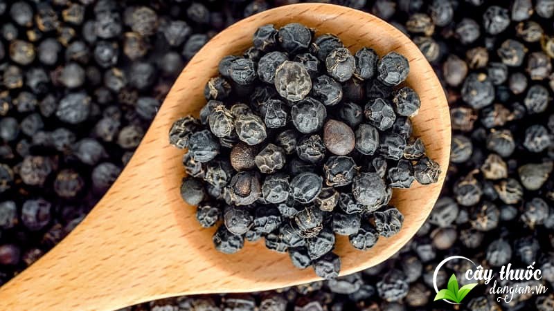 bai-thuoc-chua-benh-tu-hat-tieu