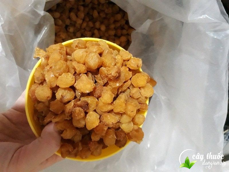 quy-trinh-lam-long-nhan