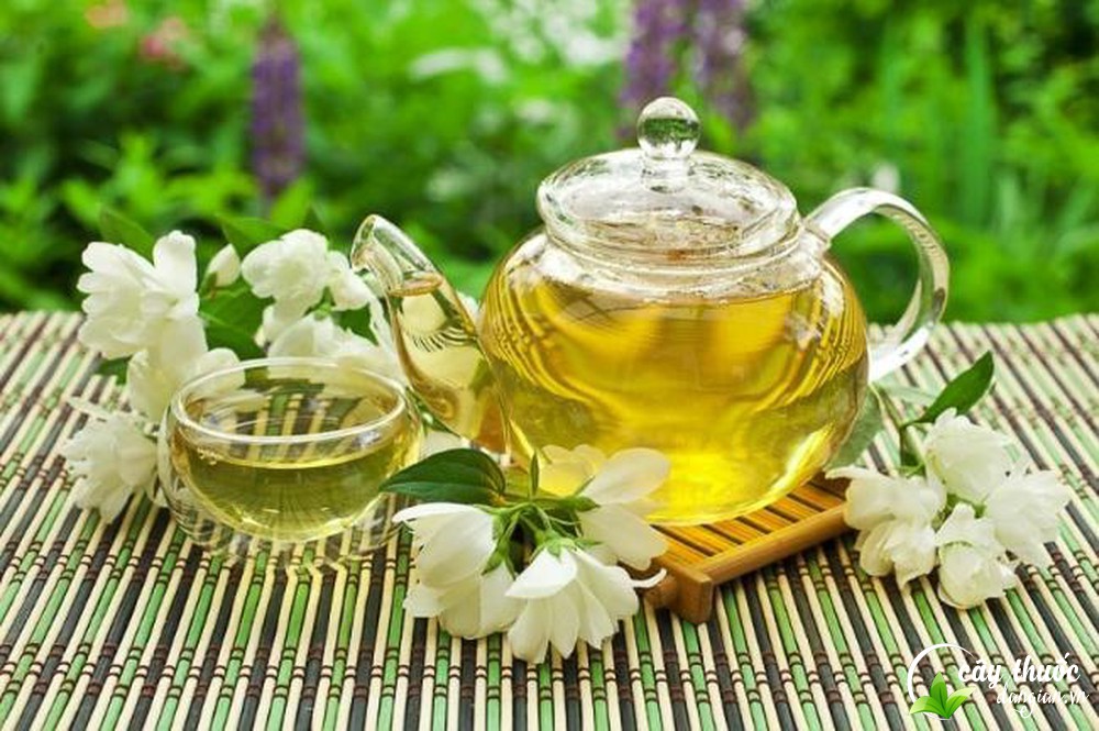 Trà hoa nhài khô luôn là lựa chọn ưa thích của mọi nhà