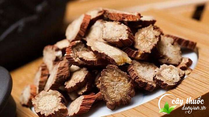 Bài thuốc điều trị viêm gan từ đan sâm