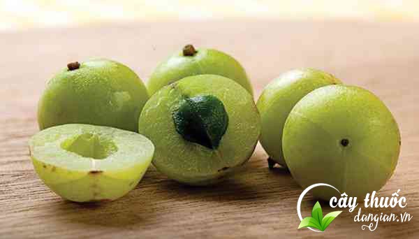 Ứng dụng của me rừng trong các bài thuốc