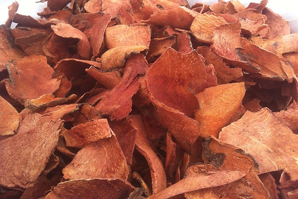 Nên tham khảo ý kiến của thầy thuốc, bác sĩ trước khi sử dụng bài thuốc Khúc khắc