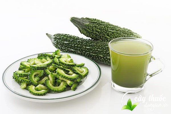 Bài thuốc mướp đắng trị bệnh tat lỵ