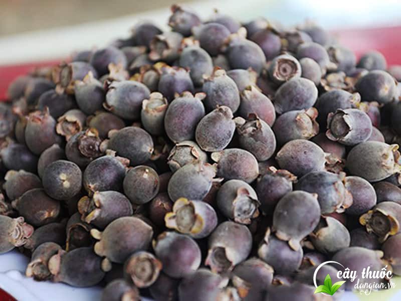 qua-sim-tim-dung-de-ngam-ruou