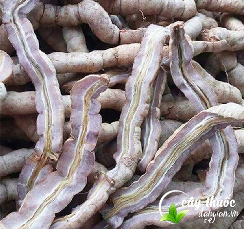 ba-kich-tim-ho-tro-dieu-tri-chung-dau-bung