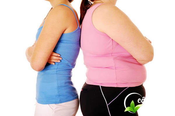 trà hoa nhài khô giúp phụ nữ ngày càng đẹp hơn