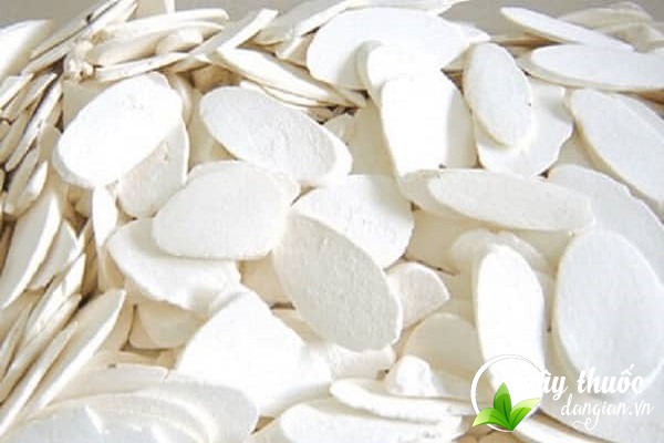 Lưu ý là nên tham khảo ý kiến của bác sĩ, thầy thuốc trước khi sử dụng thông thảo để đạt được hiệu quả cao.