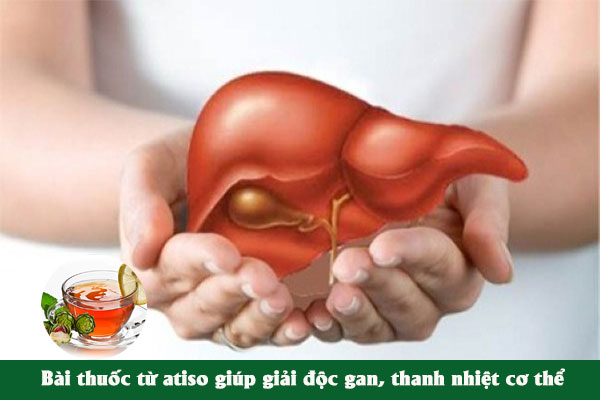 Bài thuốc atiso giúp giải độc gan rất tốt.