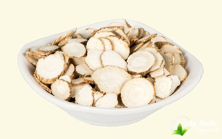 Bạch chỉ sau bào chế