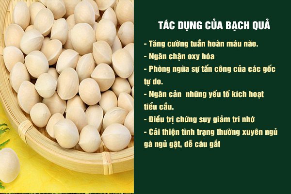 Bạch quả mang lại nhiều công dụng tốt cho sức khỏe, được dùng để chữa một số bệnh lý.