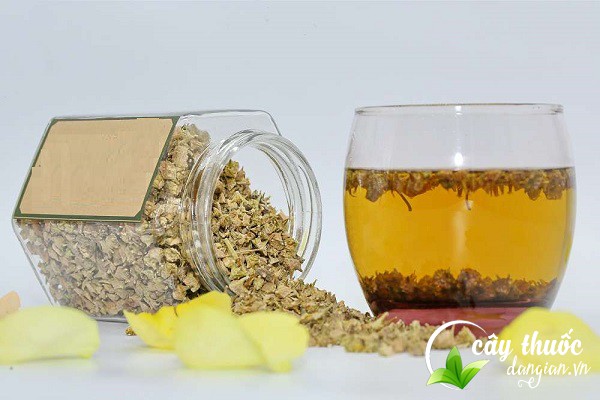 Lưu ý nên tham khảo ý kiến của người có chuyên môn trước khi sử dụng bạch tật lê làm thuốc chữa bệnh.