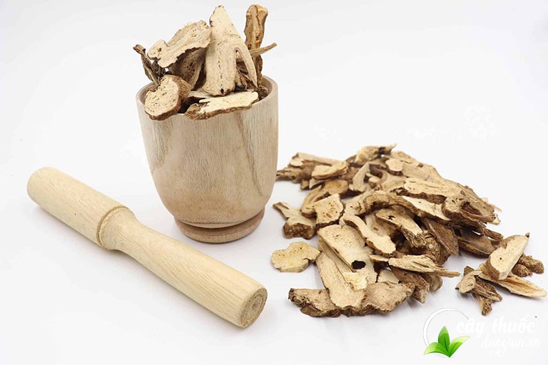 Bạch truật giúp cải thiện hệ tiêu hóa