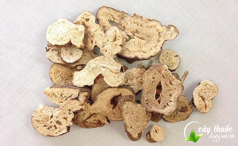 Bài thuốc từ bạch truật chữa tiêu hóa ở trẻ nhỏ