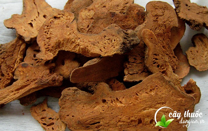 Bạch truật sau khi bào chế