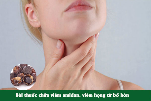 Bài thuốc Bồ hòn trị viêm họng, viêm amidan.