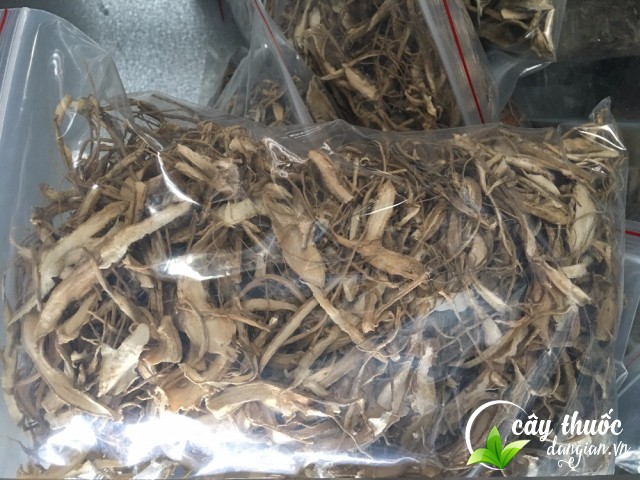 Nên mua sâm bố chính ở đâu?