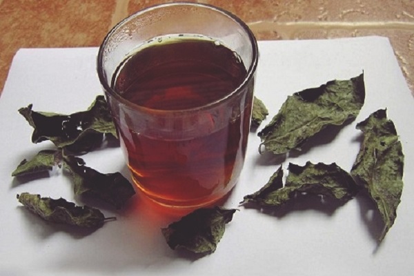 Lưu ý nên tham khảo ý kiến của bác sĩ và người có chuyên môn trước khi dùng cao xạ đen chữa bệnh