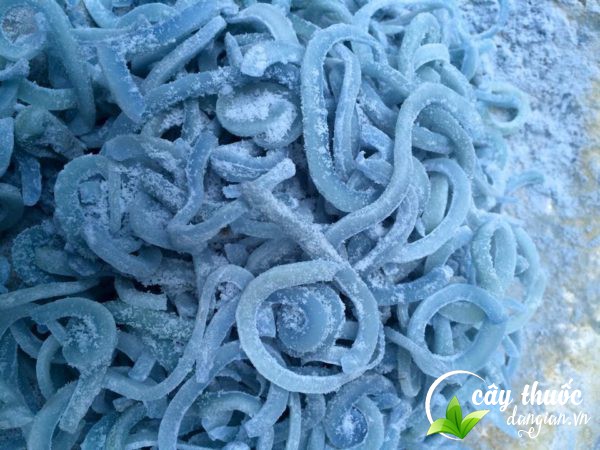 lam-mut-dua-hoa-dau-biec