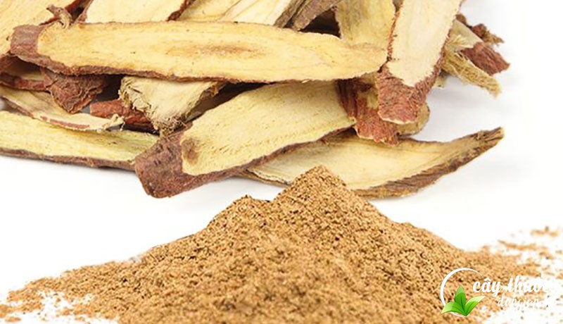 tac-dung-cua-cam-thao-doi-voi-suc-khoe