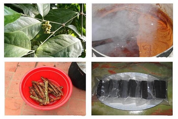 Cao gắm là một dược liệu thu được từ thân và rễ của cây dây gắm.