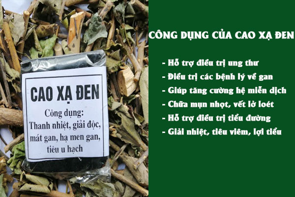 Công dụng của cao xạ đen đối với sức khỏe