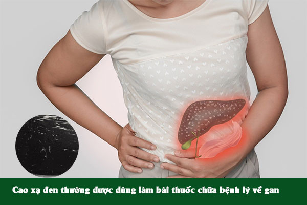 Cao xạ đen được dùng làm bài thuốc điều trị các bệnh lý về gan