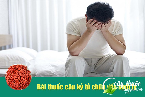 Câu kỷ tử được sử dụng trong các bài thuốc chữa yếu sinh lý nam